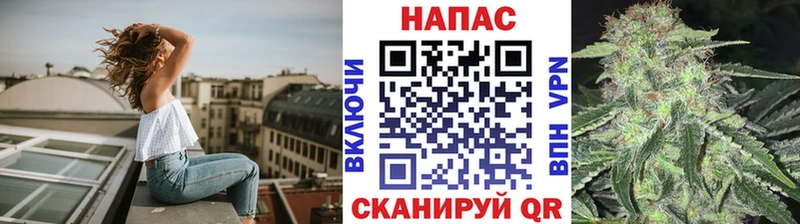 Продажа наркотиков Новозыбков Каннабис  СОЛЬ  ГАШ 