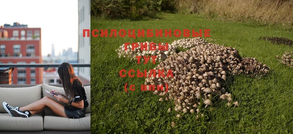 герыч Каменск-Шахтинский