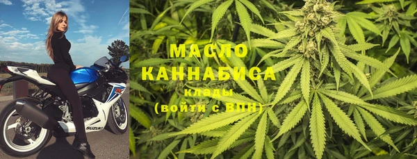 гидропоника Каменка