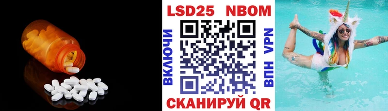 kraken как войти  Новозыбков  LSD-25 экстази кислота 