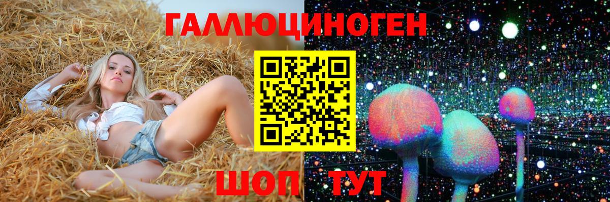 Новозыбков  Галлюциногенные грибы мухоморы  продажа наркотиков  Вход с VPN  Галлюциногенные грибы Cubensis 