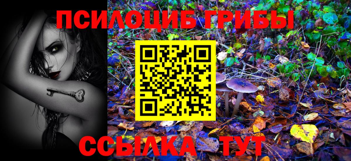 Псилоцибиновые грибы GOLDEN TEACHER Новозыбков